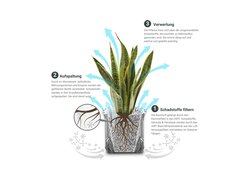 AIRY Schaubild, welches Reinigung der Luft erklärt