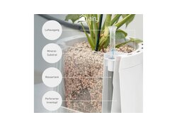 AIRY Querschnitt eines Kastens mit Pflanze