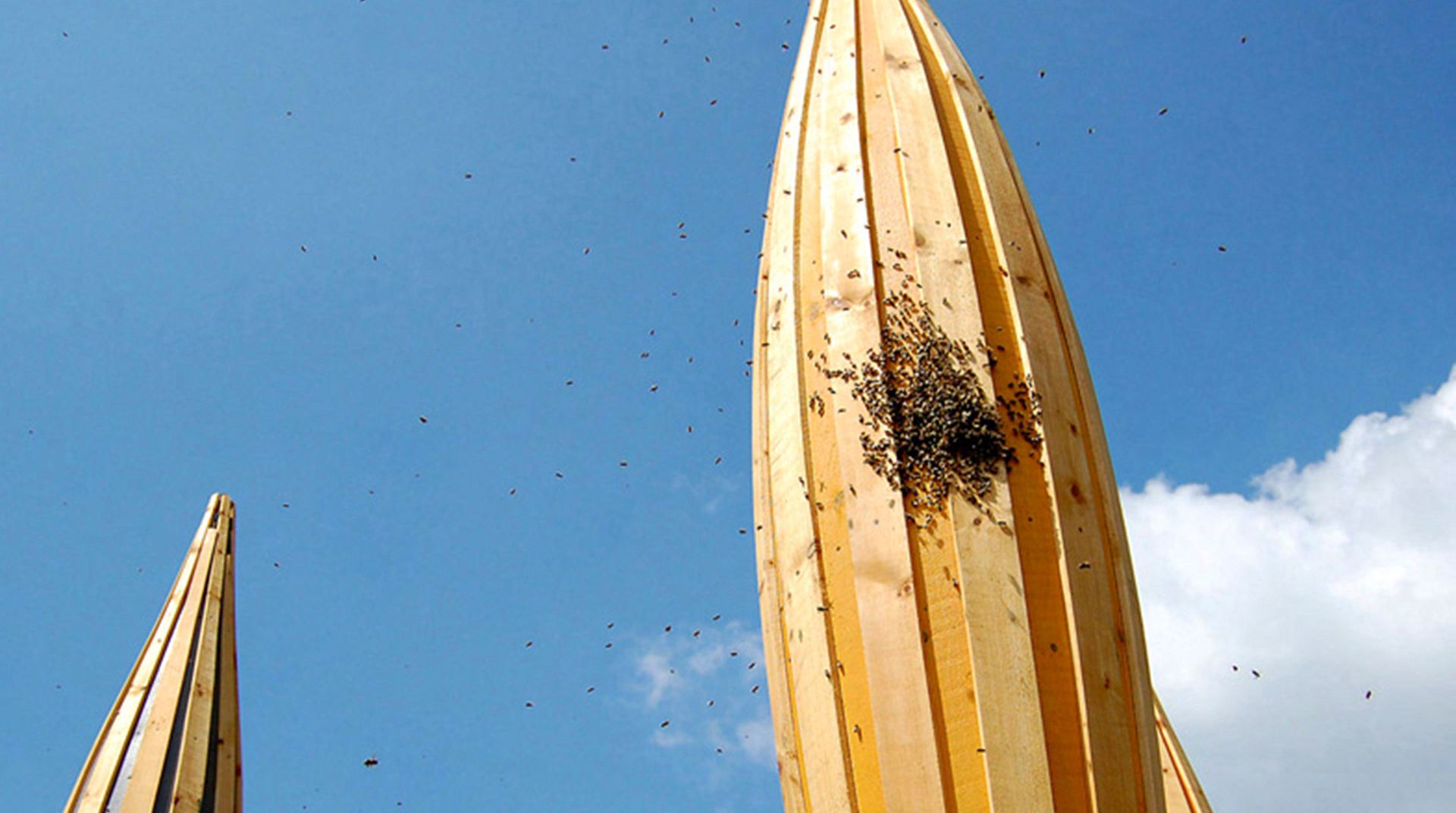 Bienenbäume mit Bienen, ein Projekt auf der Landesgartenschau in Bad Rappenau | © Lothar Schöneck