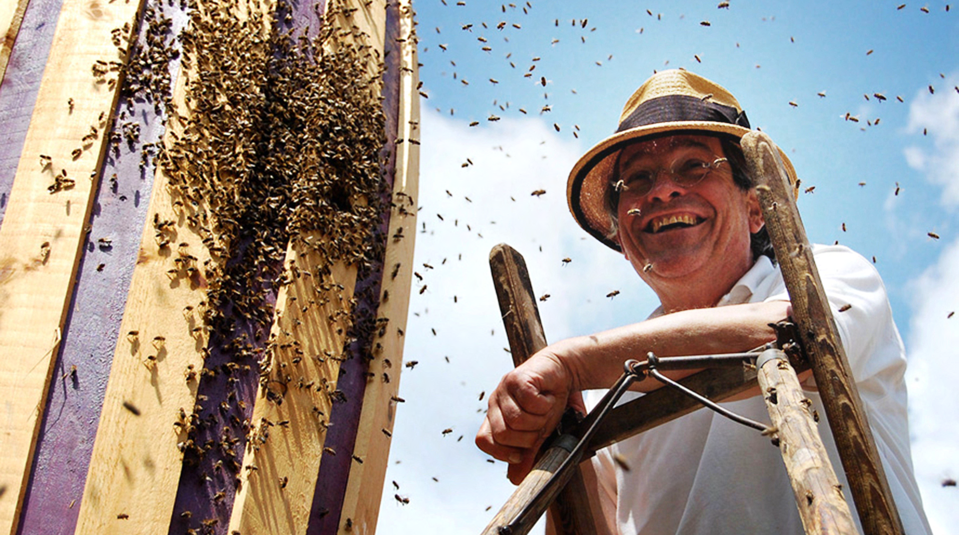 Lothar Schöneck mit seinem Projekt Bienenbäume auf der Landesgartenschau in Bad Rappenau | © Lothar Schöneck