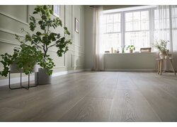 Innenraum mit Pflanze, Fenster und Bodenbelag.