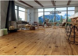 Wohnraum mit Holzboden, Alpenblick, Kamin, Naturholzoptik