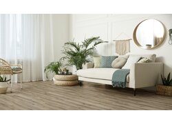 Raumbild mit Easy 30 Boden