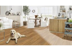 Strong SPC Multilayer+ Planken, Wohnzimmer, Hund