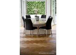 Modernen Essbereich mit Holzparkett.