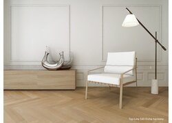 Modernes Wohnzimmer mit Eichenparkett und Designmöbeln.