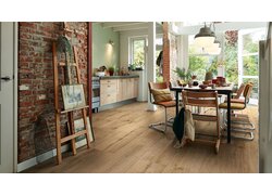 MeisterDesign. pro DD 250 Hauptbild Raumbild DD 250 Beispiel