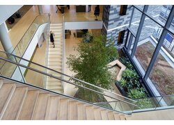 Modernes Atrium mit Baum und Glasfassade.