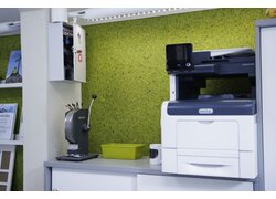 Bürobereich mit Naturwand in Grünoptik