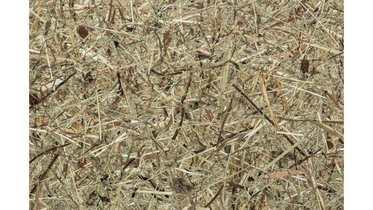 Duftendes, handgesenstes Almheu aus Bergwiesen