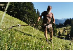 Almbauer mäht Wiese mit Sense händisch
