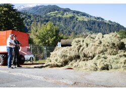 Frisch geerntetes Almheu vor Bergkulisse