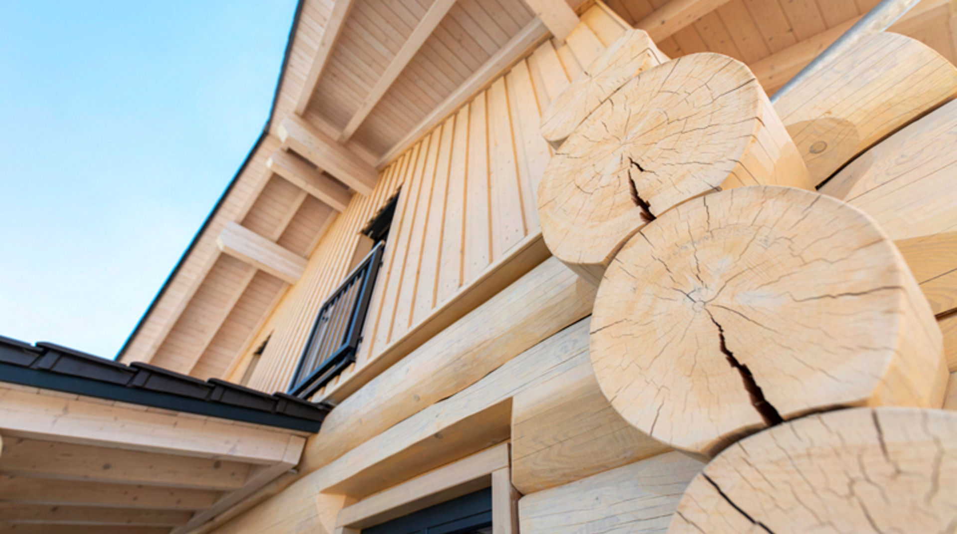Nahaufnahme des Holz, Weißtanne