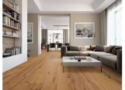 Modernes Wohnzimmer mit Eichenparkett und grauem Sofa.