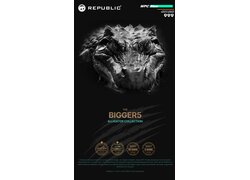 Alligator, starke Textur, "THE BIGGER5", "ALLIGATOR COLLECTION"
