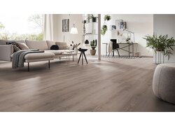 Wohnzimmer mit Sofa und farbigen Kissen.