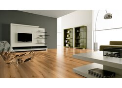 Modernes Wohnzimmer mit warmem Parkettboden und minimalistischer Einrichtung