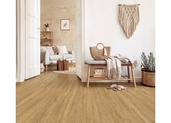 Gemütlicher Eingangsbereich mit Holzfußboden.