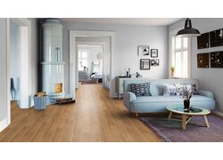 Wohnzimmer, Sofa, Ofen, Teppich, Pflanzen.