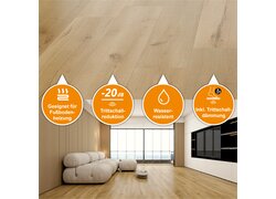 Wohnzimmer mit hellem Holzboden und vier Infografiken.