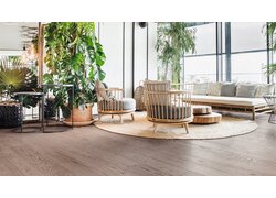 mafi Naturholzboden Esche in einem großen Wohnbereich. Es gibt Sessel und Sofa sowie viele Pflanzen. Rechts eine große Fensterreihe welche den Raum mit Licht flutet